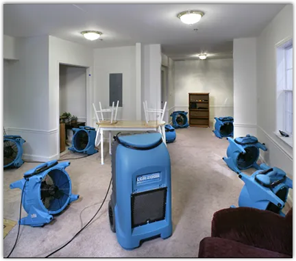 Water Damage Restoration services in Franklin, CA