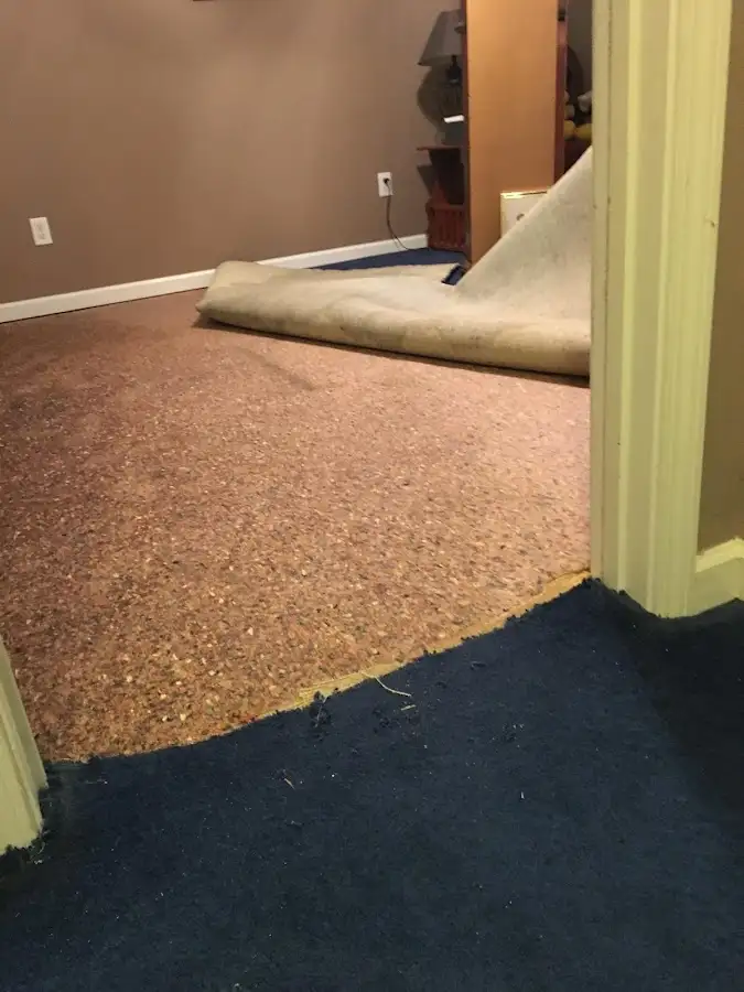 Carpet pad removal revealing water damage during Drying & Dehumidification in Franklin