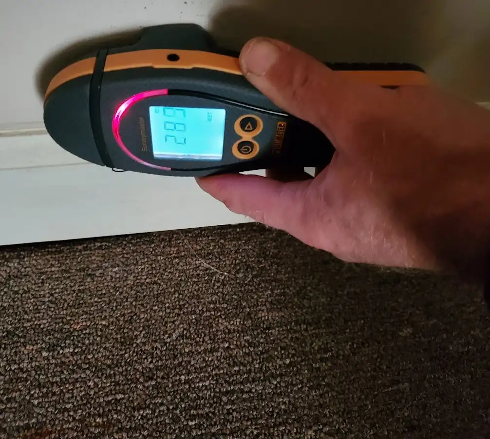 Moisture detection at baseboard during Mold Inspection & Testing in Franklin